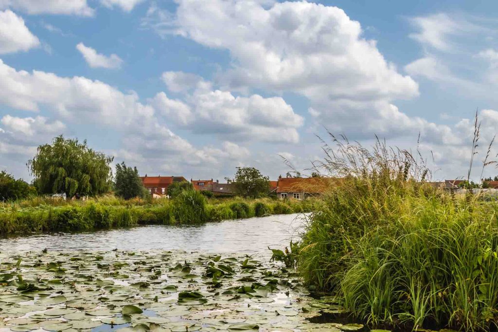 Balade dans le marais Audomarois