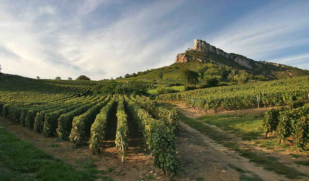 La Roche de Solutré, entre préhistoire et grands crus