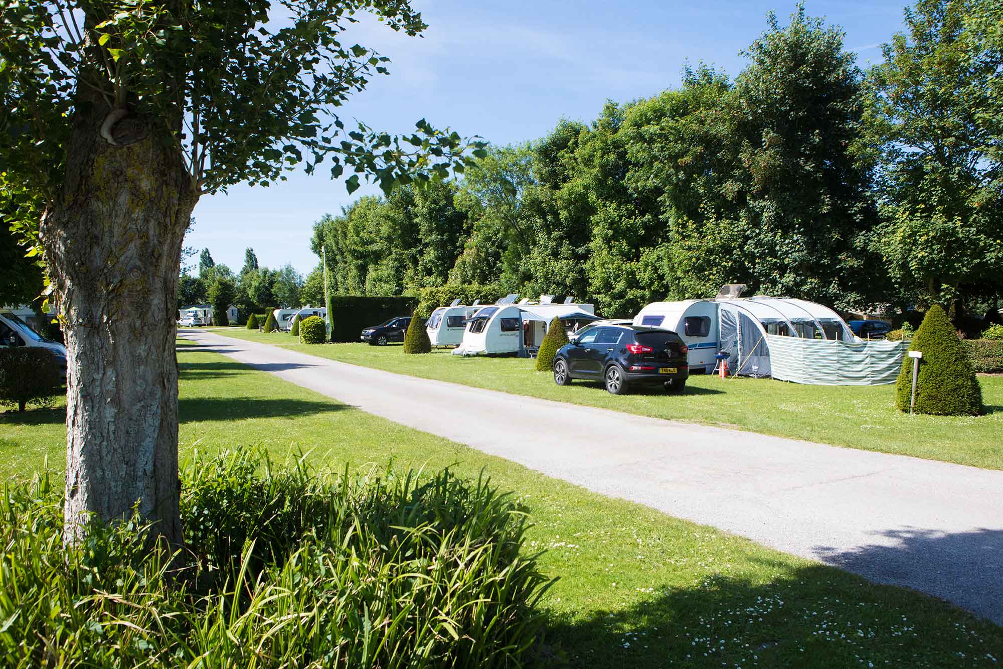 Emplacements spacieux et verdoyants au Castel Camping la Bien Assise à Guînes